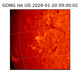 gong - 2026-01-20T09:00:02
