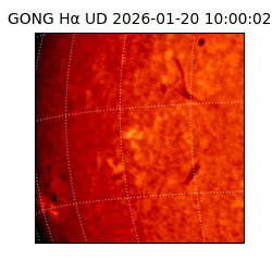 gong - 2026-01-20T10:00:02