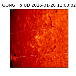 gong - 2026-01-20T11:00:02