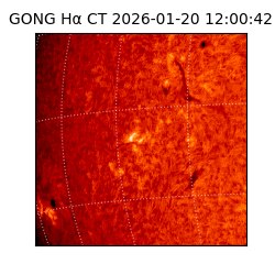 gong - 2026-01-20T12:00:42