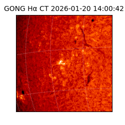 gong - 2026-01-20T14:00:42