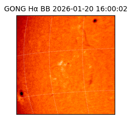 gong - 2026-01-20T16:00:02