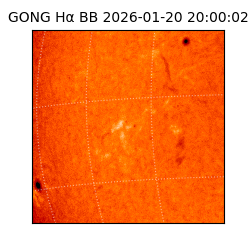 gong - 2026-01-20T20:00:02