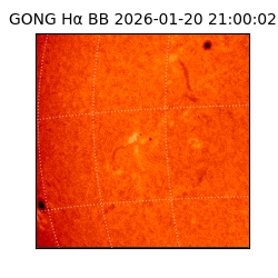 gong - 2026-01-20T21:00:02