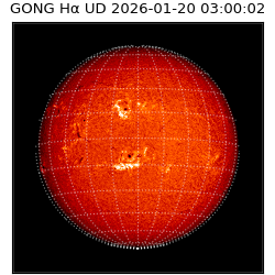gong - 2026-01-20T03:00:02