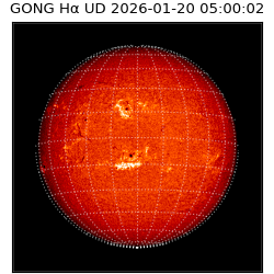 gong - 2026-01-20T05:00:02
