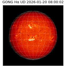 gong - 2026-01-20T08:00:02