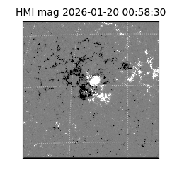 shmi - 2026-01-20T00:58:30