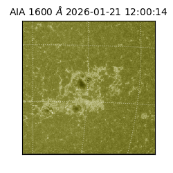 saia - 2026-01-21T12:00:14.125000