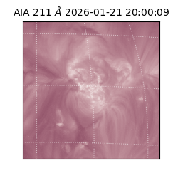 saia - 2026-01-21T20:00:09.629000