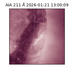 saia - 2026-01-21T13:00:09.633000