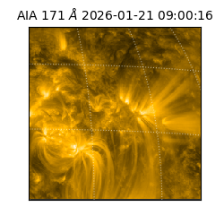 saia - 2026-01-21T09:00:16.968000