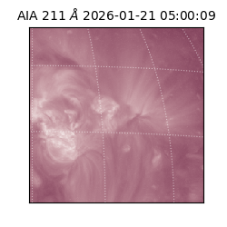 saia - 2026-01-21T05:00:09.618000