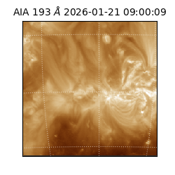 saia - 2026-01-21T09:00:09.480000