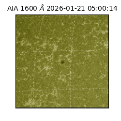 saia - 2026-01-21T05:00:14.118000