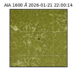saia - 2026-01-21T22:00:14.126000