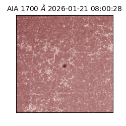 saia - 2026-01-21T08:00:28.718000