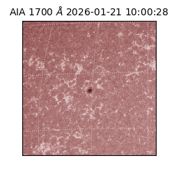 saia - 2026-01-21T10:00:28.721000