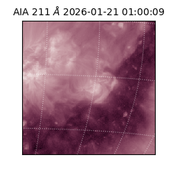 saia - 2026-01-21T01:00:09.618000