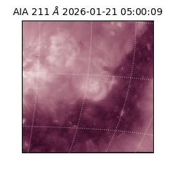 saia - 2026-01-21T05:00:09.618000