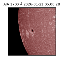 saia - 2026-01-21T06:00:28.717000
