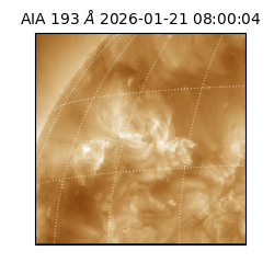 saia - 2026-01-21T08:00:04.843000
