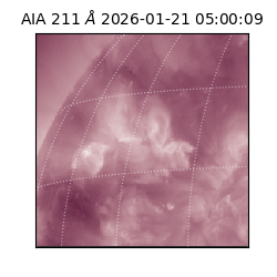 saia - 2026-01-21T05:00:09.618000
