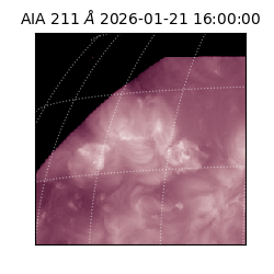 saia - 2026-01-21T16:00:00.710000