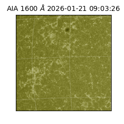 saia - 2026-01-21T09:03:26.106000