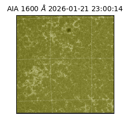 saia - 2026-01-21T23:00:14.126000