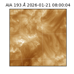 saia - 2026-01-21T08:00:04.843000