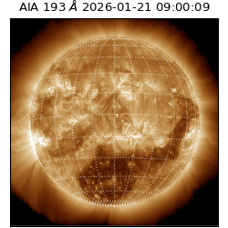 saia - 2026-01-21T09:00:09.480000