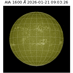 saia - 2026-01-21T09:03:26.106000