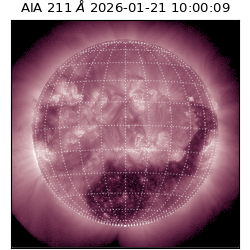 saia - 2026-01-21T10:00:09.625000