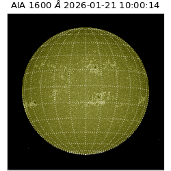 saia - 2026-01-21T10:00:14.125000