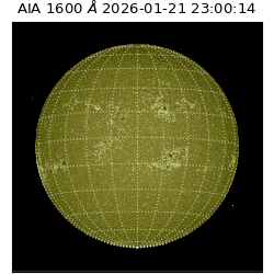 saia - 2026-01-21T23:00:14.126000