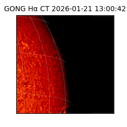 gong - 2026-01-21T13:00:42