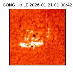 gong - 2026-01-21T01:00:42