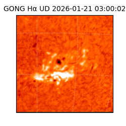 gong - 2026-01-21T03:00:02