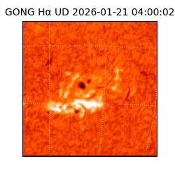 gong - 2026-01-21T04:00:02
