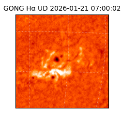 gong - 2026-01-21T07:00:02