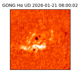 gong - 2026-01-21T08:00:02