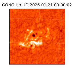 gong - 2026-01-21T09:00:02