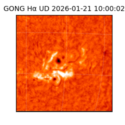 gong - 2026-01-21T10:00:02