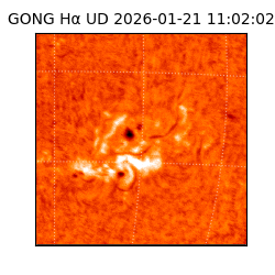 gong - 2026-01-21T11:02:02