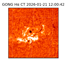 gong - 2026-01-21T12:00:42