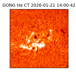 gong - 2026-01-21T14:00:42