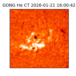 gong - 2026-01-21T16:00:42
