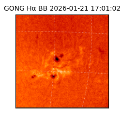 gong - 2026-01-21T17:01:02