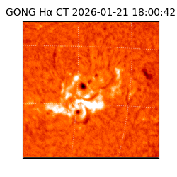 gong - 2026-01-21T18:00:42